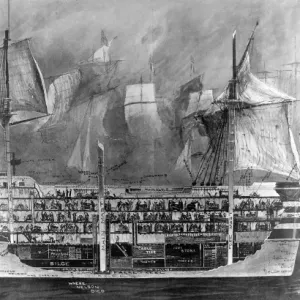 Sectional Drawing of H.M.S. Victory Interior Print