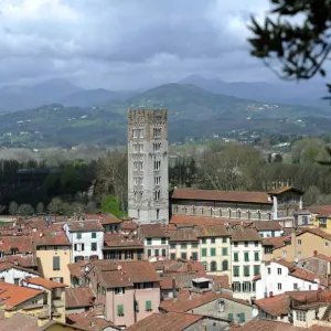Lucca Panorama Print: 12th Century Basilica of San Frediano Lucca Panorama Print: 12th Century Basilica of San Frediano
