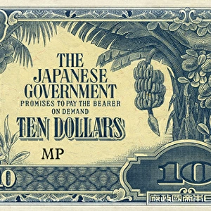 Japanese Ten Dollar Banknote - Banana Money