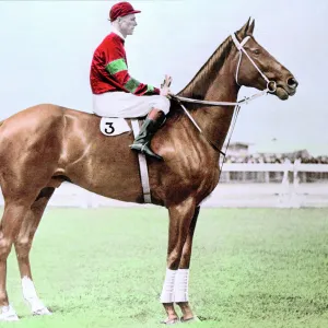 Horse Related Images