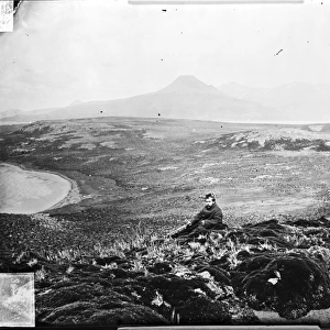 Kerguelen Island, Mt. Wyville Thomson in background