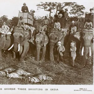 King George V shooting Tigers in India from a howdah