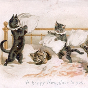Four kittens pillow fighting on a New Year card