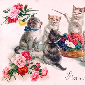 Kittens singing on a French birthday postcard