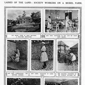 Ladies of the Land - Society Workers on a model farm, WW1