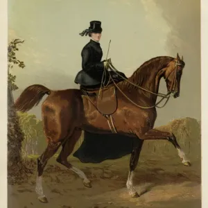 Lady Riding Sidesaddle Print, 1870s