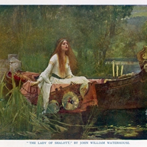 Popular Themes Premium Framed Print Collection: Lady of Shalott