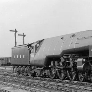 LNER, W1 10000 Hush Hush"