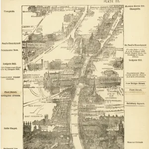 London Birdseye 3