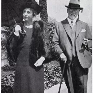 Lord Plender, head of the world-famous firm of chartered accountants, and Lady Plender