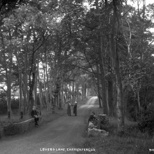 Early 20th Century Print of Lovers Lane, Carrickfergus Early 20th Century Print of Lovers Lane, Carrickfergus