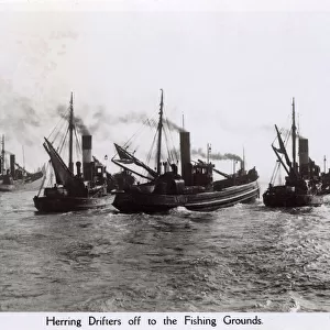 Lowestoft, Suffolk, Herring Drifters off the Fishing Grounds