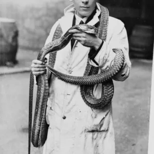 Man wearing snake, 1930s