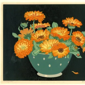 Marigolds by Hall Thorpe