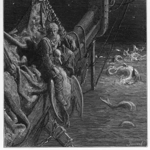 Snakes Mounted Art Print Collection: Sea Snake