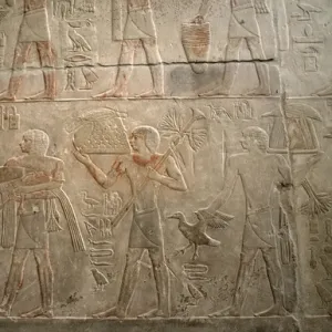 Mastaba of Ptahhotep and Akhethotep. The transport of offeri