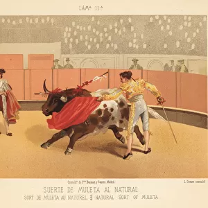 Matador making a pass with the muleta (cape) and sword