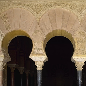 Medina Azahara Palace. Cordoba. Andalusia. Spain