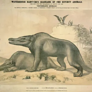 Megalosaurus and Pterodactyle Print, c. 1862 Megalosaurus and Pterodactyle Print, c. 1862