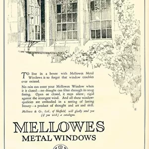 Mellowes Metal Windows Advertisement