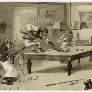 Monkeys Play Billiards