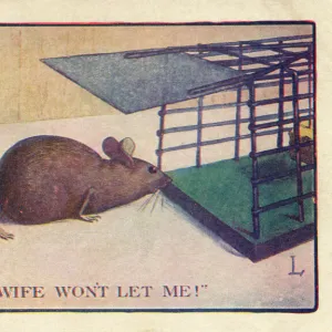 Mouse held away from Mousetrap