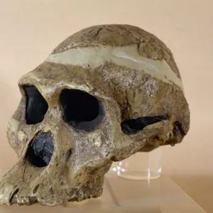 Heritage Sites Collection: Fossil Hominid Sites of South Africa