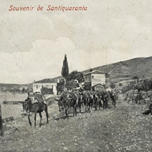 Mules being led from Santi Quaranta to Ioannina