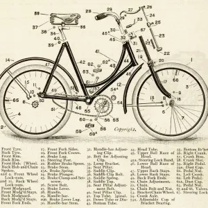 Naming of Cycle Parts