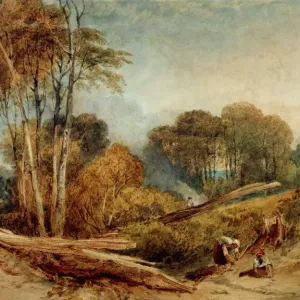 Castillo de Beeston, Cheshire