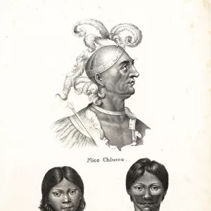 Native Americans of Florida and South America