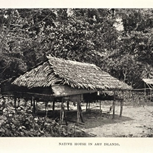 Native house in Aru