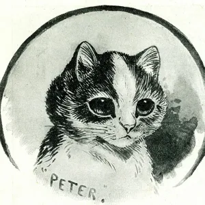 Peter the Cat Print by Louis Wain, 1897 Peter the Cat Print by Louis Wain, 1897