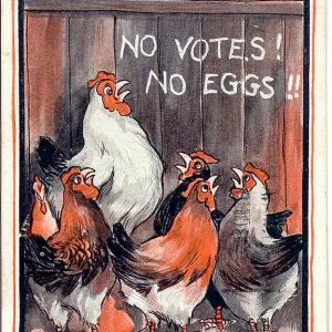 Early 20th-century Suffragette hen print Early 20th-century Suffragette hen print