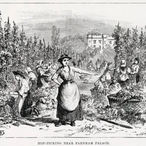Hops Picking in Surrey, 1891 Print Hops Picking in Surrey, 1891 Print