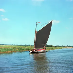 Norfolk Broads Print: Sailing Wherry Albion Norfolk Broads Print: Sailing Wherry Albion