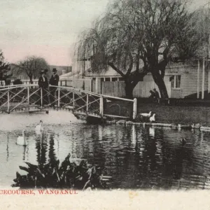 New Zealand - The Lake, Racecourse, Whanganui