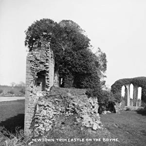 Newtown Trim Castle on the Boyne