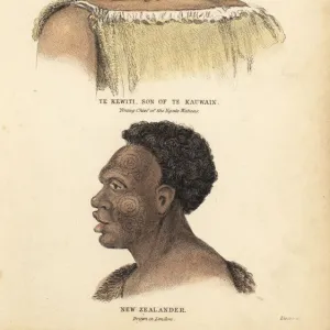 New Zealand Collection: Hamilton