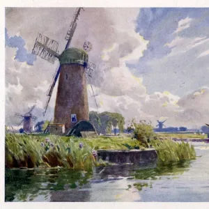 Norfolk Broads / Thurne