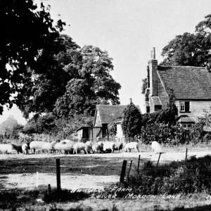 An old farm, Lower Morden Lane, Morden, SW London (Surrey)