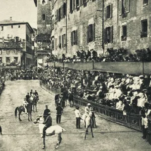 Sports Gallery: Related Images