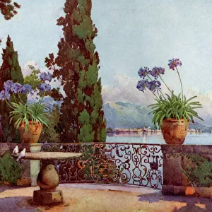 Lakes Poster Print Collection: Lake Maggiore