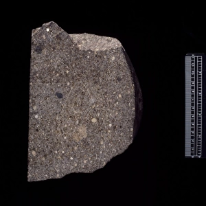 Parnallee LL3. 6 ordinary chondrite