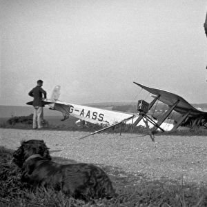 People and dog with crashed biplane
