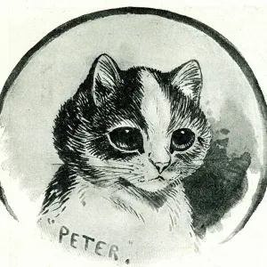 Peter the Cat by Louis Wain