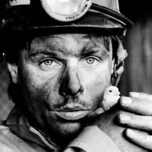 Staffordshire Coal Miner with Last Canary Print, 1986
