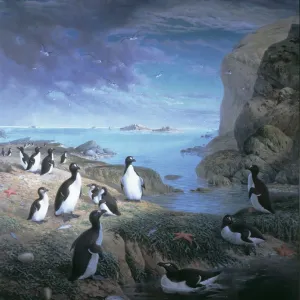 Paintings