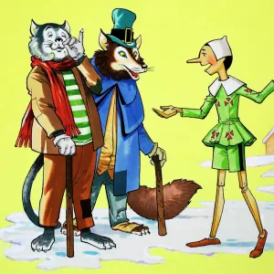 Didelphidae Collection: Pinocchio