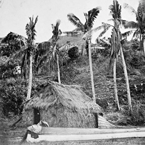 Plantation scene, Levuka, Ovalau Island, Fiji